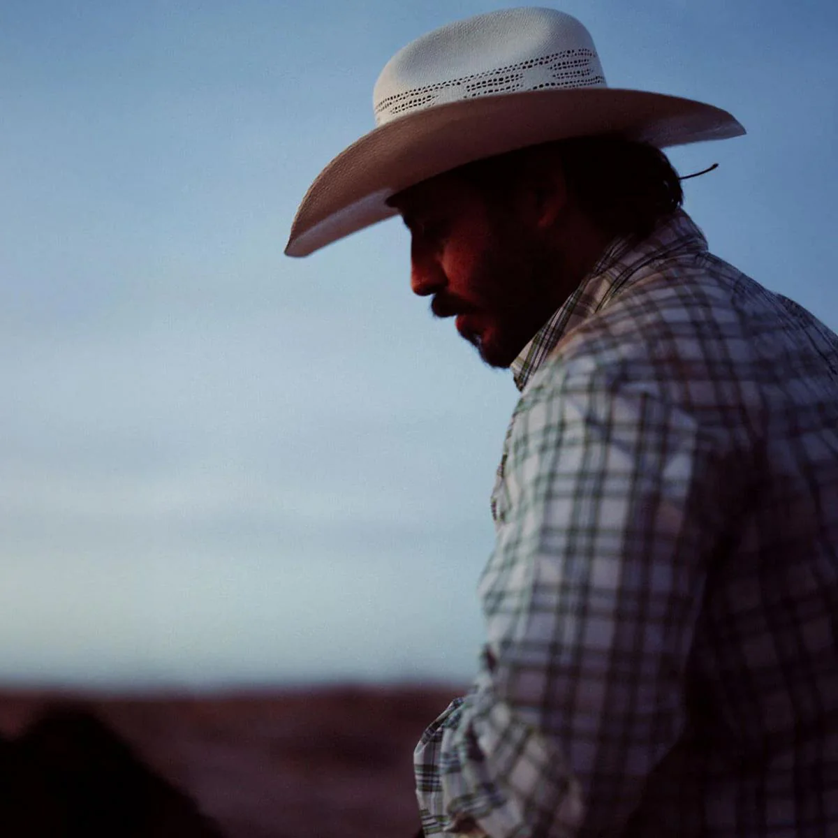 Longhorn Bangora Straw Western Hat - Image 2